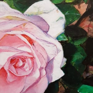 Pink Rose in Bloom by Christine Davis  Image: Pink Rose in Bloom details