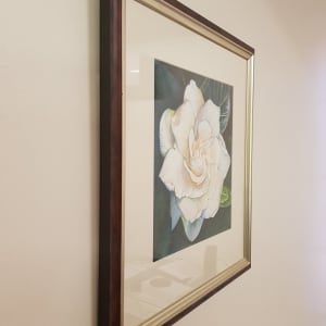 Gardenia Bloom by Christine Davis  Image: Gardenia Bloom edges