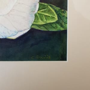Gardenia Bloom by Christine Davis  Image: Gardenia Bloom signature