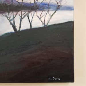 Night Lake by Christine Davis 