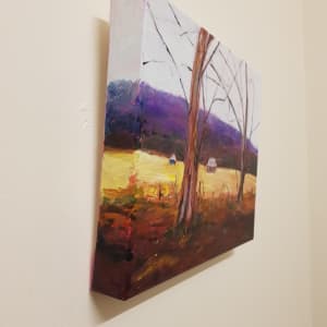 Pink Highlights in the Australian Landscape by Christine Davis 