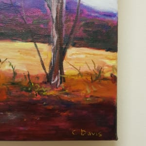 Pink Highlights in the Australian Landscape by Christine Davis 