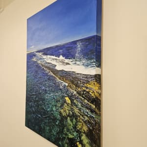 Port Noarlunga Reef by Christine Davis  Image: Port Noarlunga Reef edges