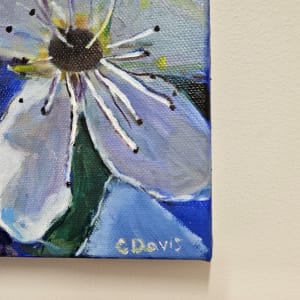 Bloom by Christine Davis  Image: Bloom signature