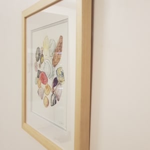 Seashell Symphony by Christine Davis  Image: Seashell Symphony edges