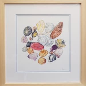 Seashell Symphony by Christine Davis  Image: Seashell Symphony framed