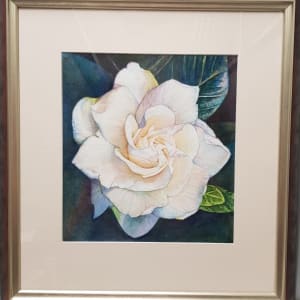 Gardenia Bloom by Christine Davis  Image: Gardinia Bloom framed
