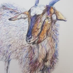 Goat by Christine Davis  Image: Goat details