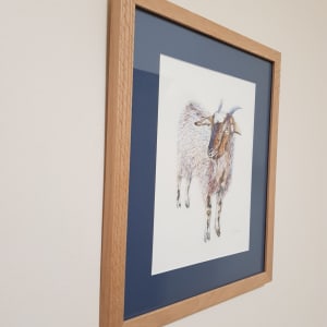 Goat by Christine Davis  Image: Goat painting edges