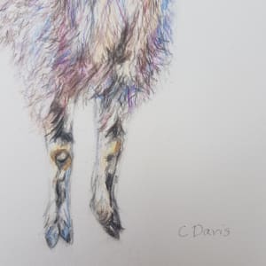 Goat by Christine Davis  Image: Goat signature