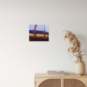 Pink Highlights in the Australian Landscape by Christine Davis 