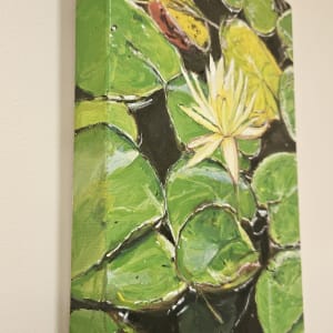 Water Lily in Bloom by Christine Davis  Image: Water Lily edges