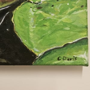 Water Lily in Bloom by Christine Davis  Image: Water Lily signature
