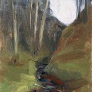 In Cessnock Woods by Jason Bentley