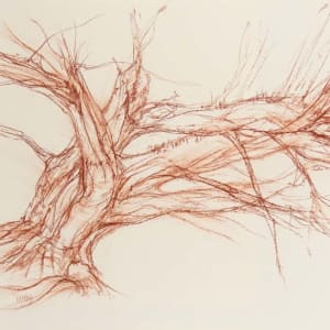 Abercorn yew south west by Tansy Lee Moir