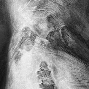 Apparition by Tansy Lee Moir, Image 3.