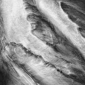 Apparition by Tansy Lee Moir, Image 4.