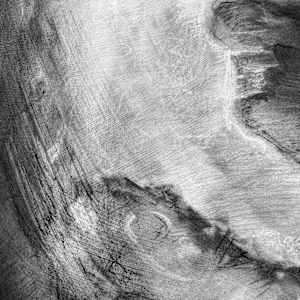 Apparition by Tansy Lee Moir, Image 5.