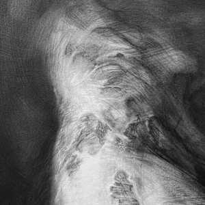 Apparition by Tansy Lee Moir, Image 2.