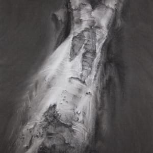 Beecraigs ghost beech 3 by Tansy Lee Moir