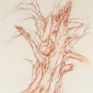 Binns beech west by Tansy Lee Moir