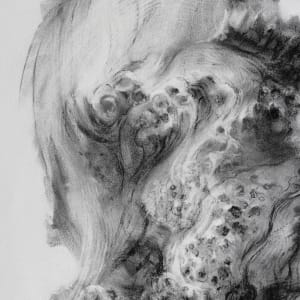 Cascade by Tansy Lee Moir  Image: Detail