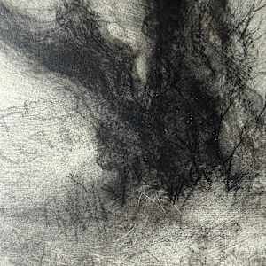 Echo by Tansy Lee Moir, Image 3.