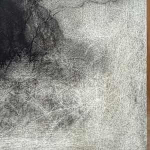 Echo by Tansy Lee Moir, Image 4.