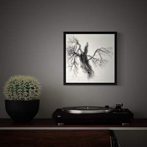 Herald by Tansy Lee Moir  Image: In situ