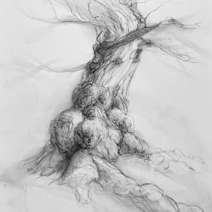 Chatsworth 027 by Tansy Lee Moir