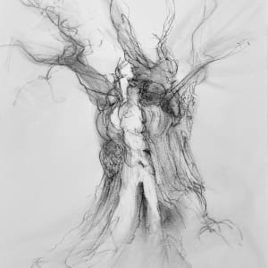 Chatsworth 023 by Tansy Lee Moir