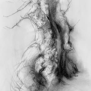 Chatsworth 018 by Tansy Lee Moir