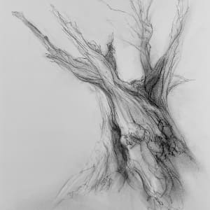 Chatsworth 020 by Tansy Lee Moir