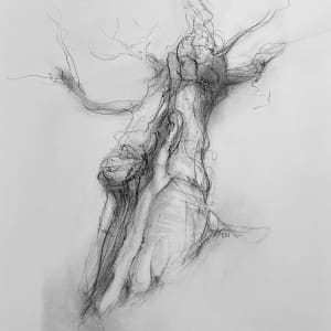 Chatsworth 021 by Tansy Lee Moir