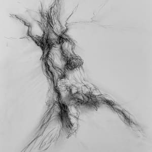 Chatsworth 015 by Tansy Lee Moir