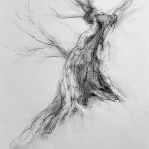 Chatsworth 010 by Tansy Lee Moir