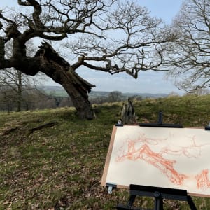 Chatsworth 007 by Tansy Lee Moir  Image: Drawing location