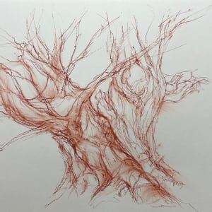 Chatsworth oak 3 by Tansy Lee Moir