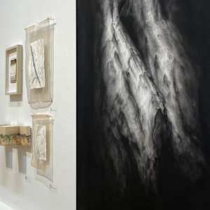 Shadow dance by Tansy Lee Moir, Image 2.