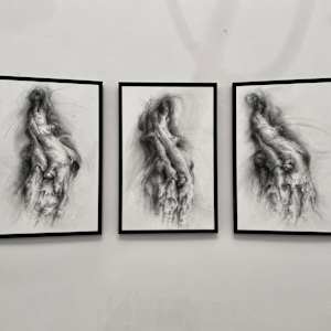 Transfigured by Tansy Lee Moir, Image 8.