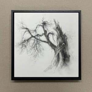 Oracle by Tansy Lee Moir  Image: Framed