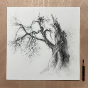 Oracle by Tansy Lee Moir  Image: Scale 