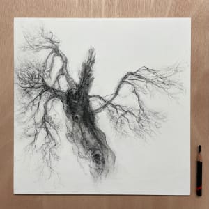 Herald by Tansy Lee Moir  Image: Scale 