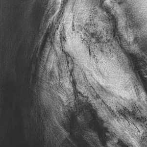 Masquerade by Tansy Lee Moir, Image 4.