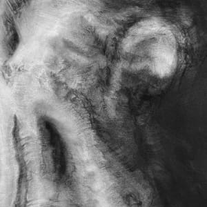 Masquerade by Tansy Lee Moir, Image 3.