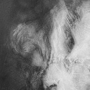 Masquerade by Tansy Lee Moir, Image 2.