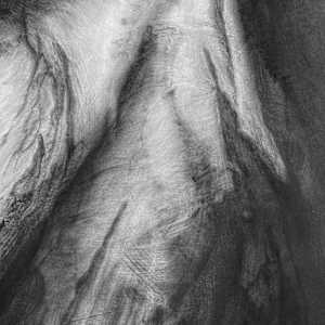 Limbdrift by Tansy Lee Moir, Image 5.