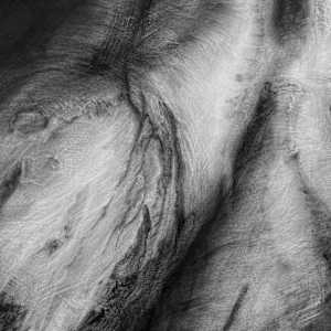 Limbdrift by Tansy Lee Moir, Image 3.