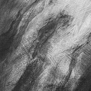 Limbdrift by Tansy Lee Moir, Image 7.