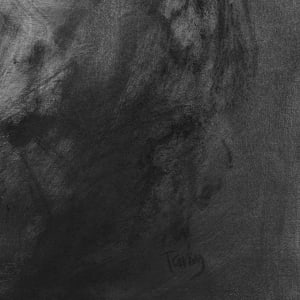 Limbdrift by Tansy Lee Moir, Image 6.